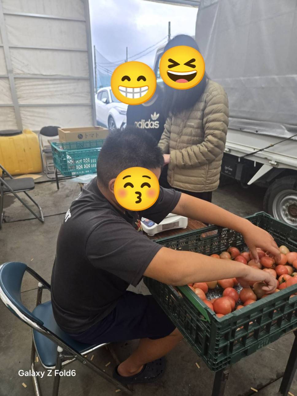自然との触れ合い
