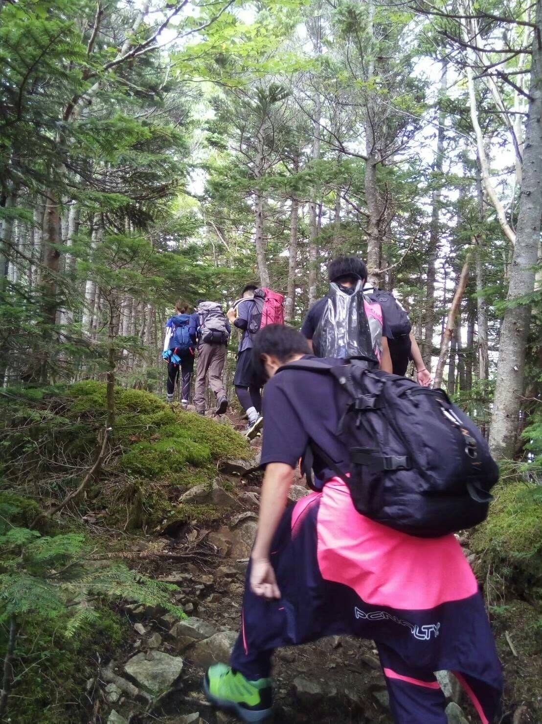 心理カウンセリングの効果