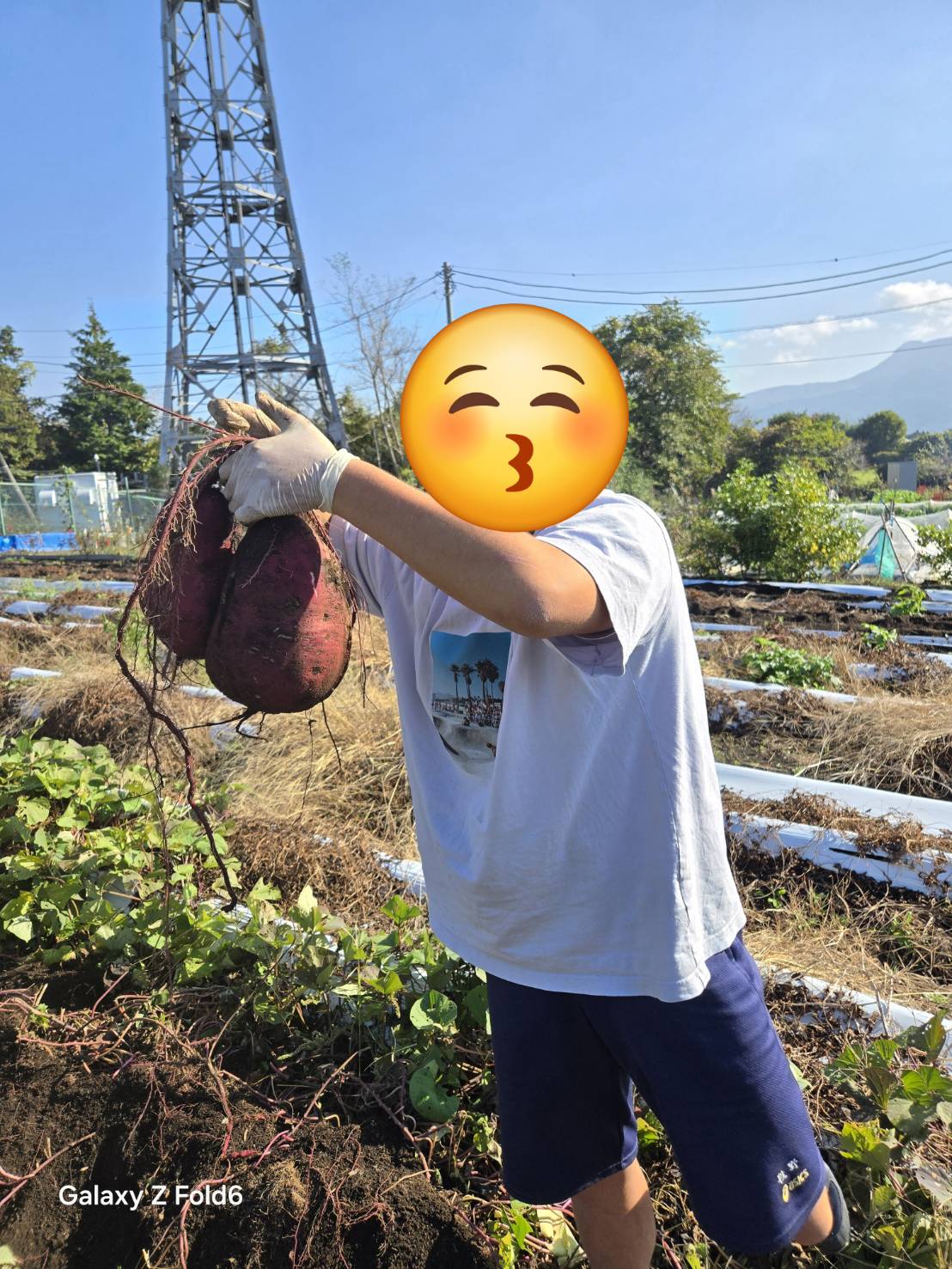 全寮制フリースクールでの新しい生活